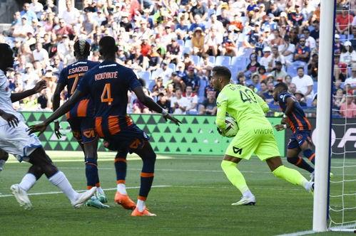 23-24赛季法甲第18轮:勒阿弗尔vs里昂,法甲第18轮战报揭晓”