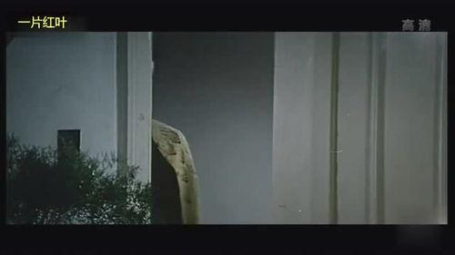 死里逃生，小姨子杀疯了